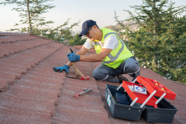 Best Roof Leak Repair  in Vevay, IN