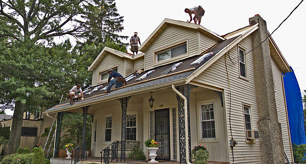 Best Shingle Roofing Installation  in Vevay, IN